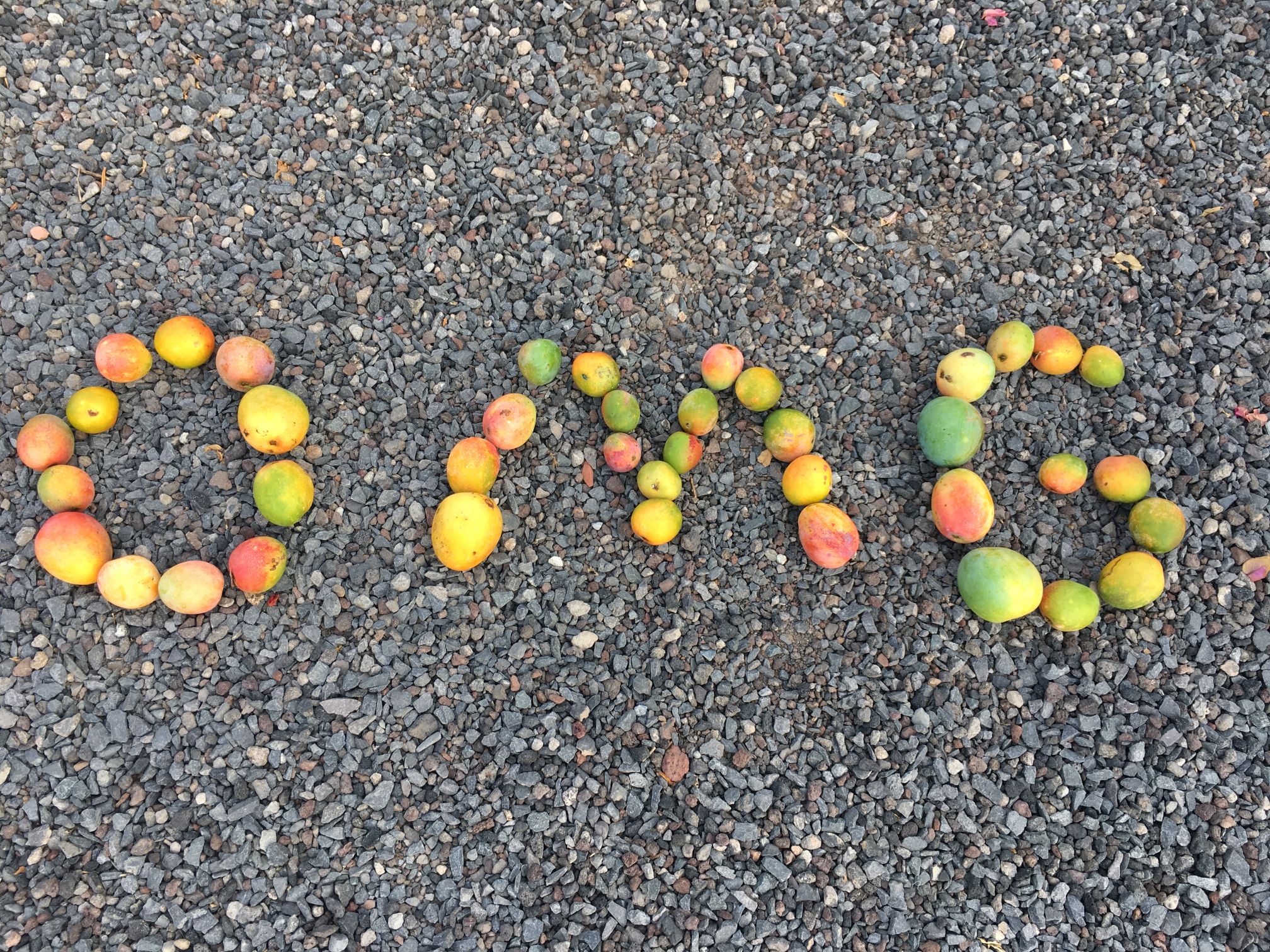 IMG_7075_sutvarkyta_maza