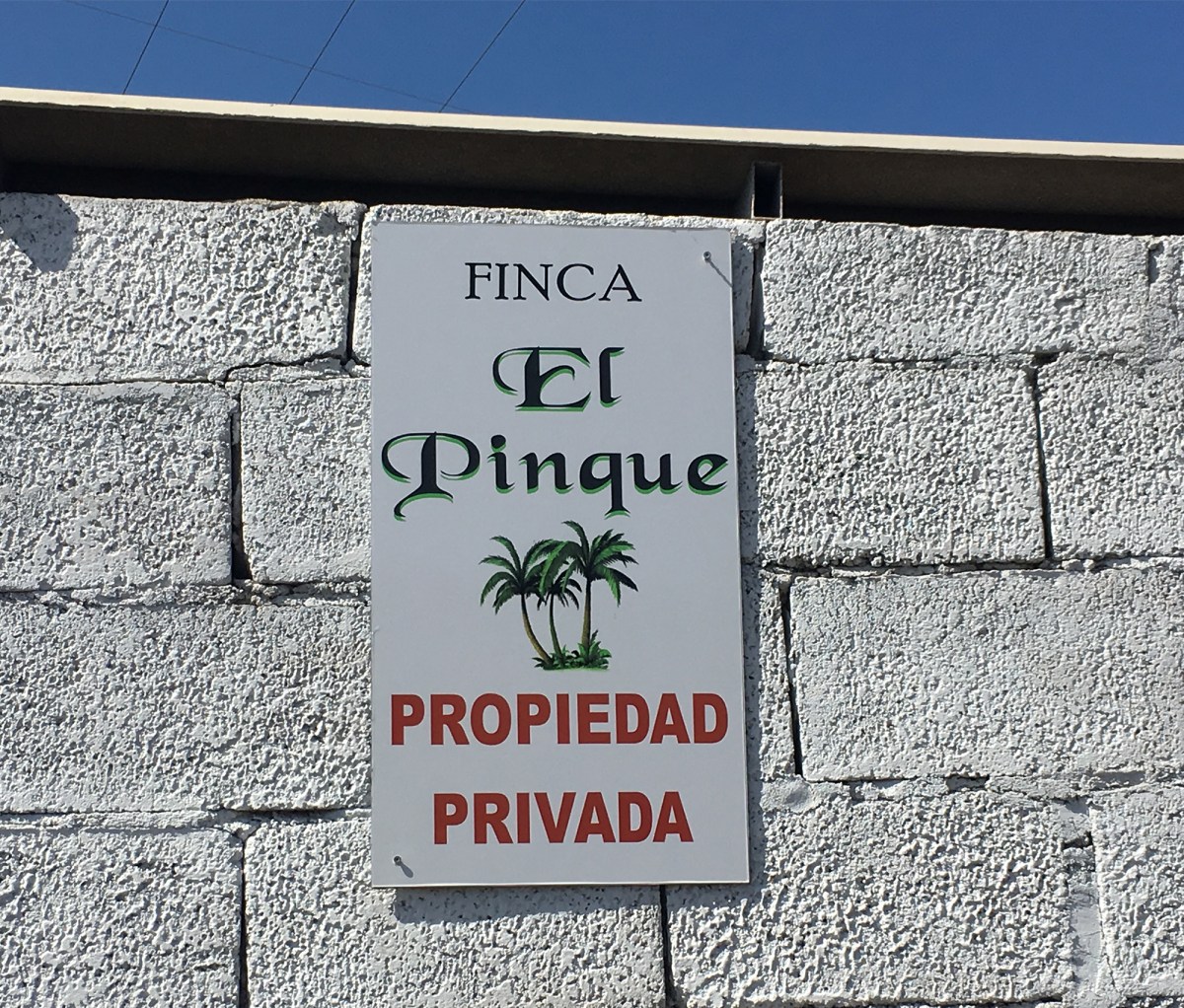 Vyrai, Kanarų policija ir&nbsp;arkliai