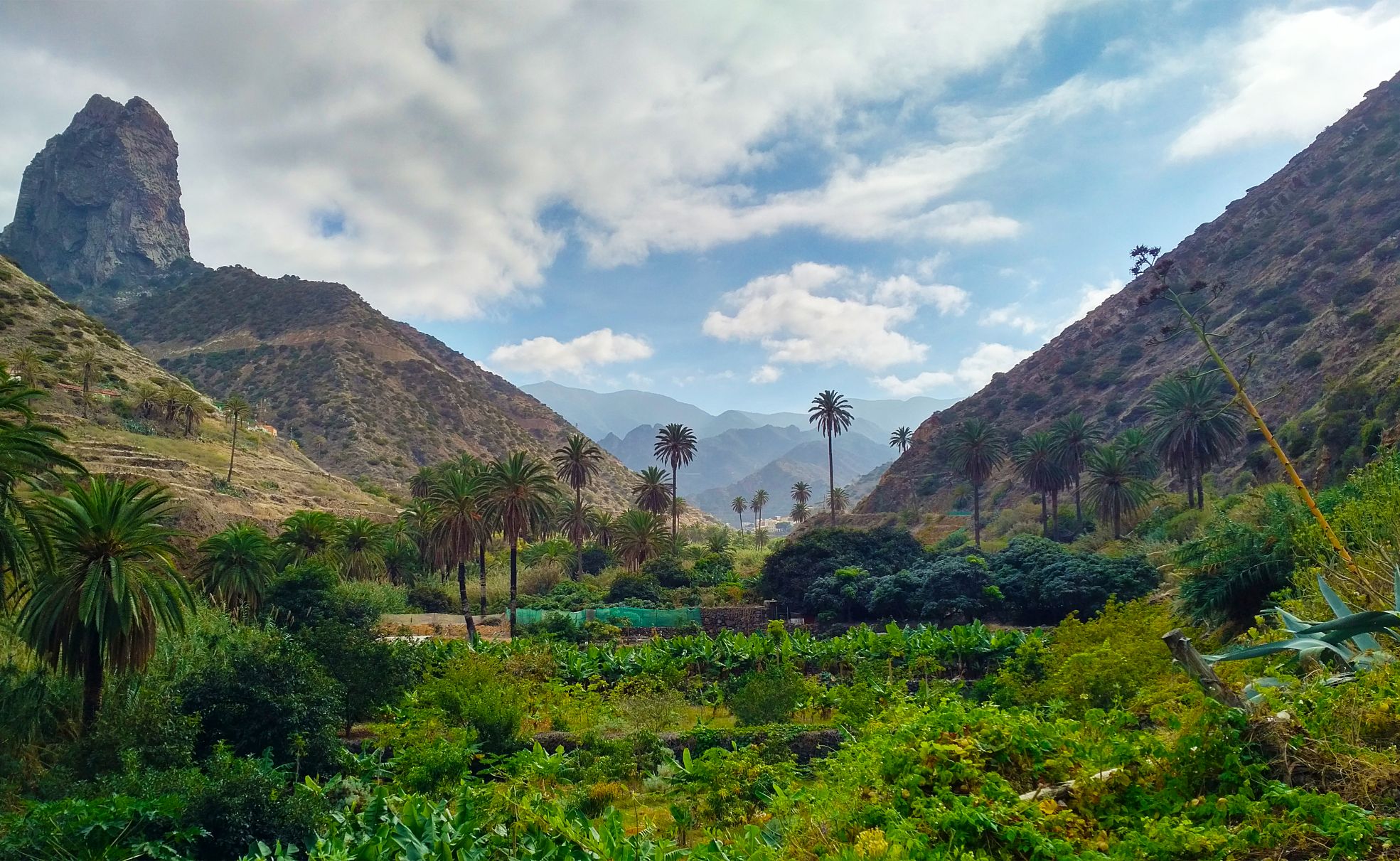 IMG_20171101_1531139_maza