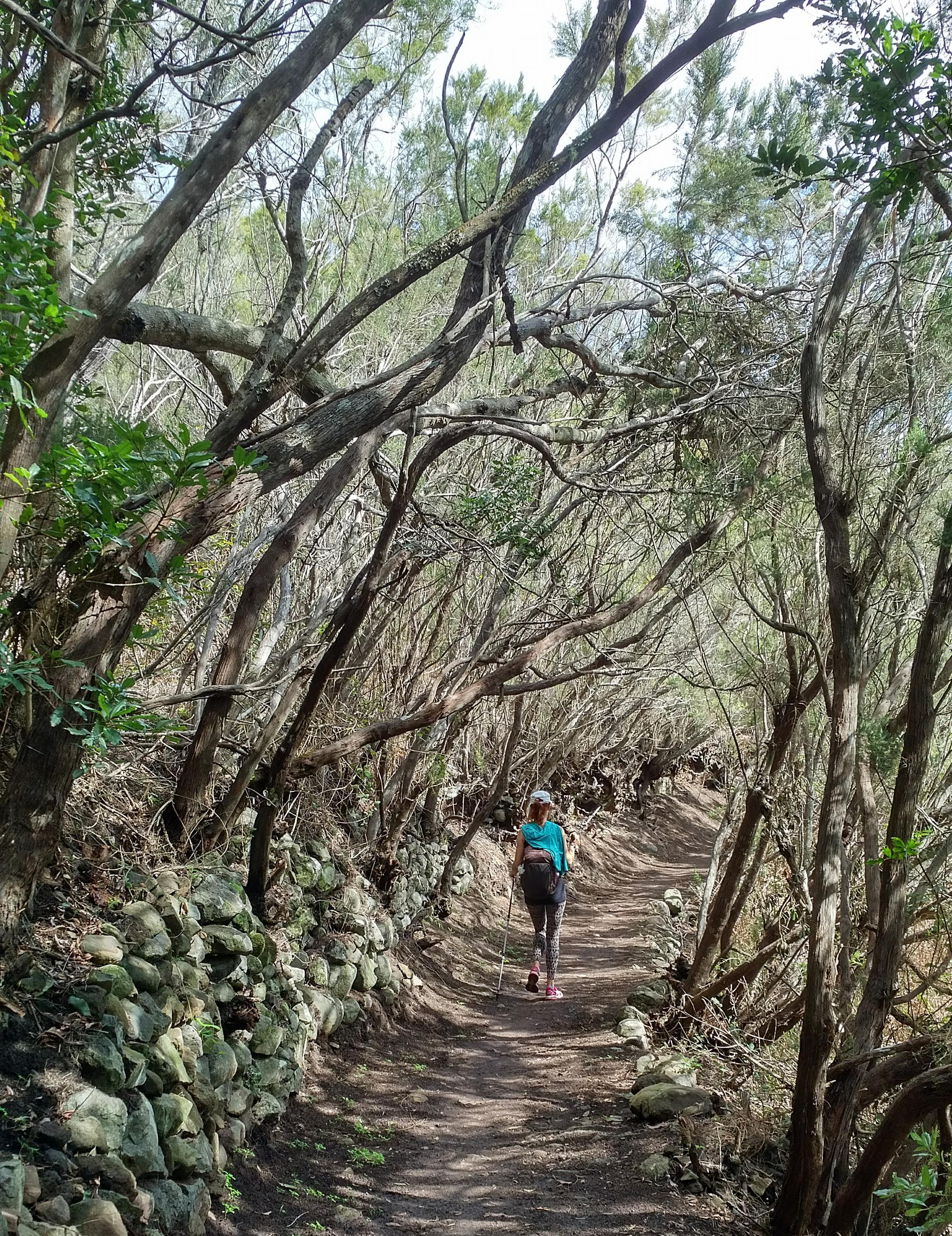 28554921_10156252985979791_550228877_o