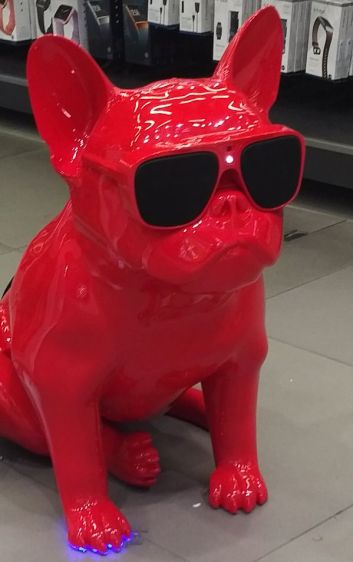 IMG_20180505_1735506