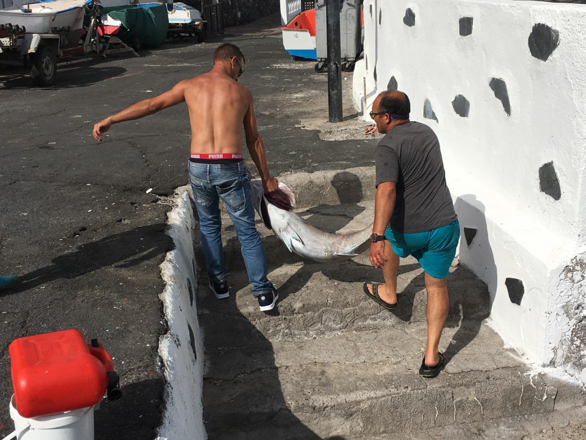 Hasta pronto, la isla&nbsp;preciosa!