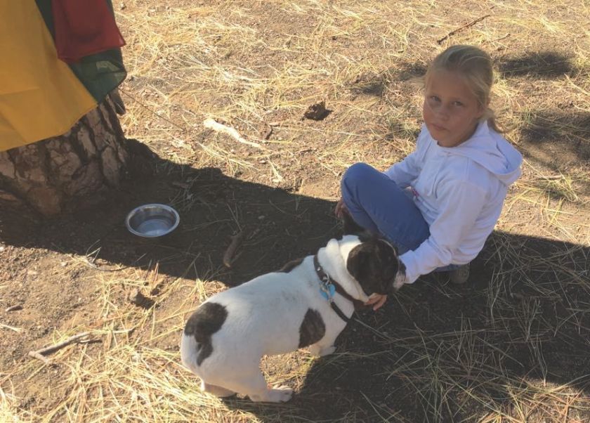 45450025_1184998961845180_3481236066181054464_n