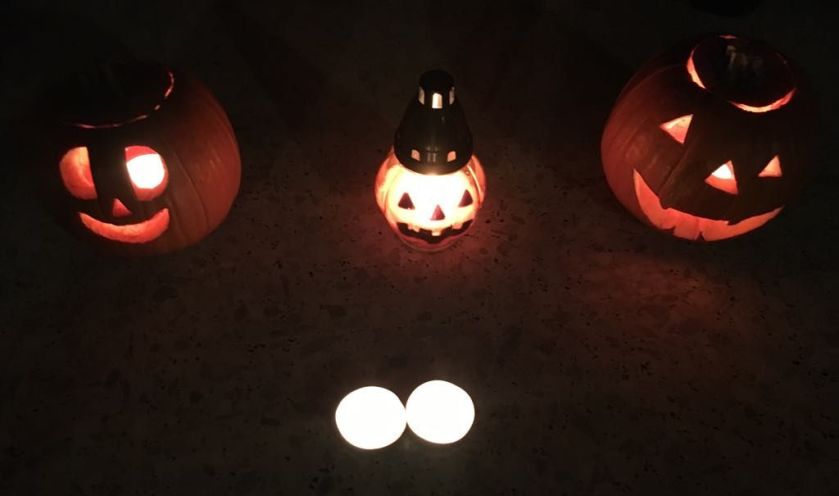 45478382_2150249078559894_1864721297792040960_n