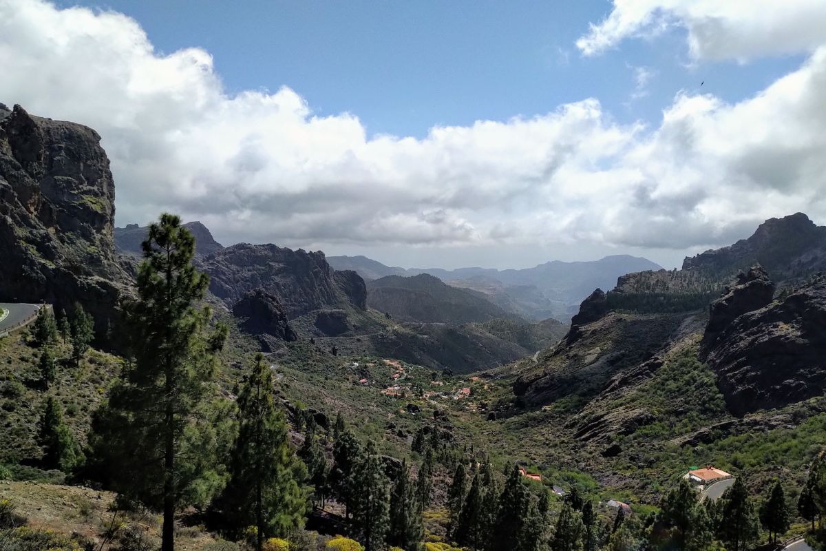 Gran Kanarija – (ne)šunų sala&nbsp;😺