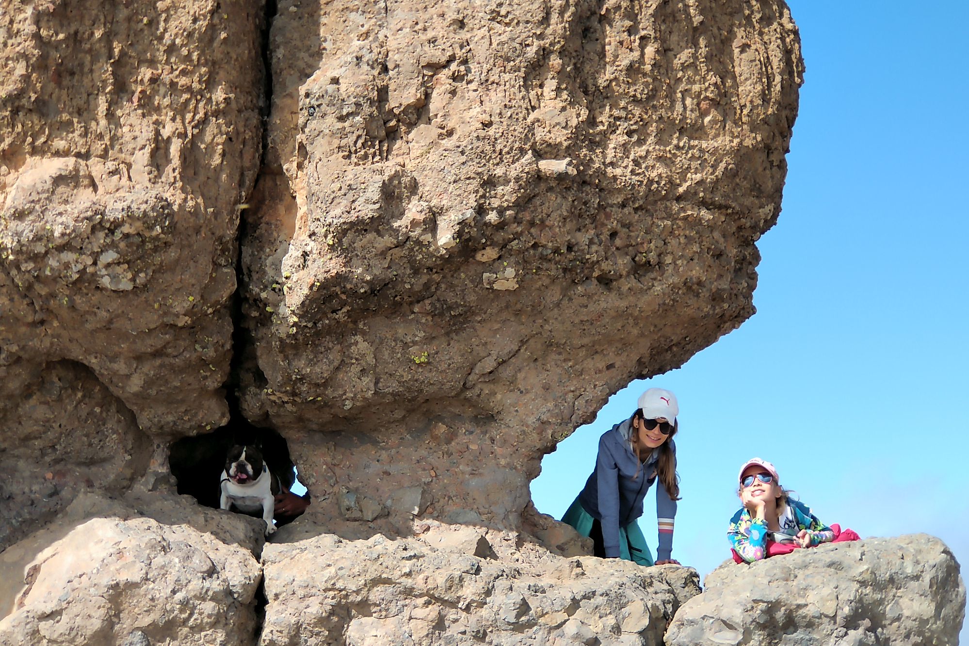 Gran Canaria Roque Nublo 7 french bulldog.jpg